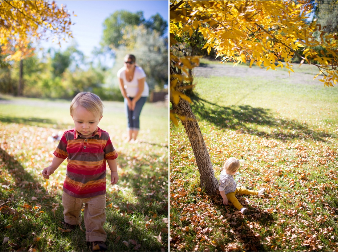 FallTych1